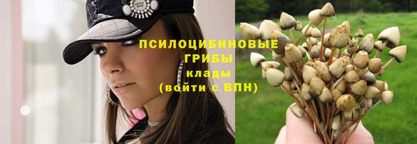таблы Приозерск